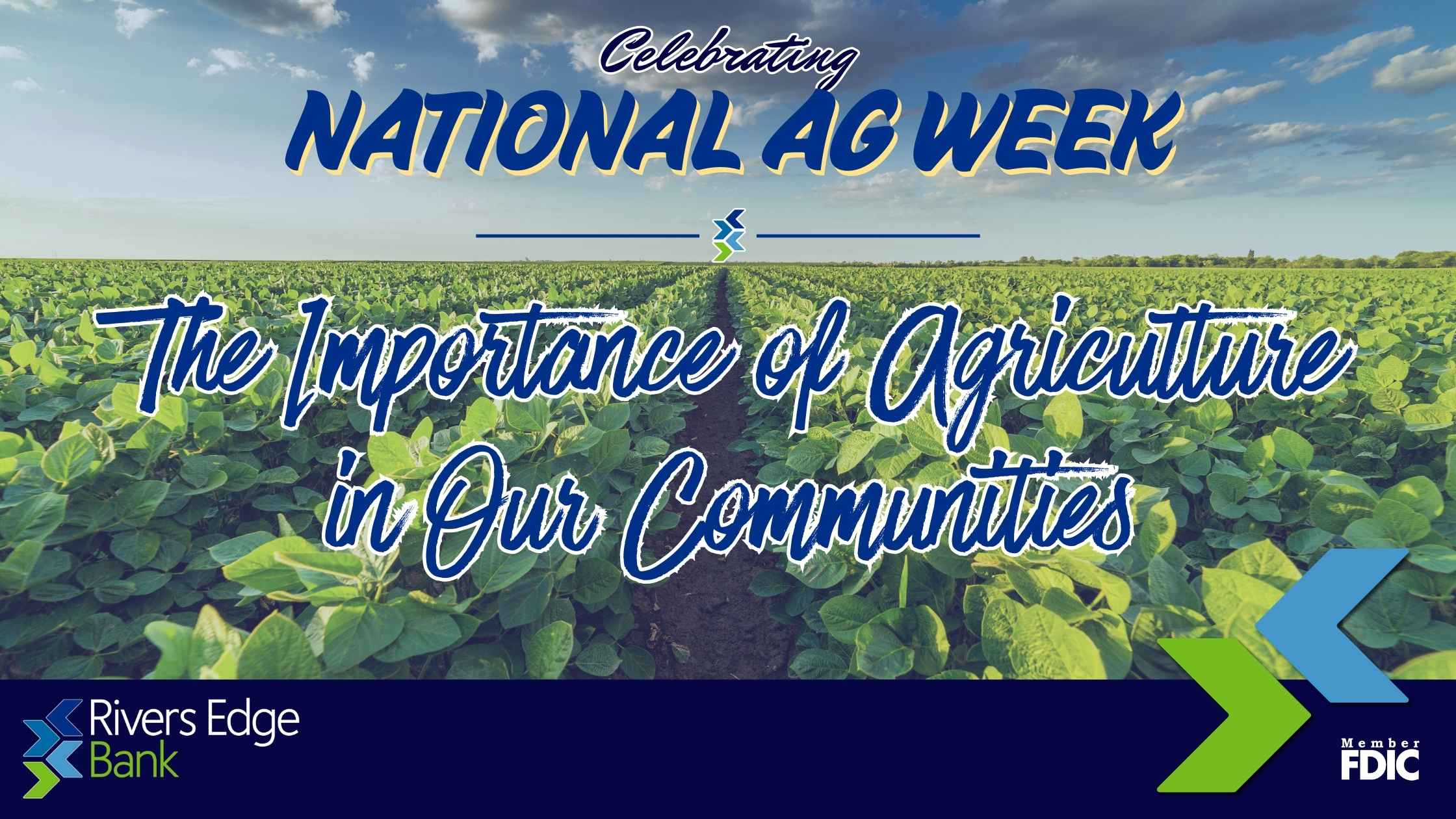 blog title of The Importance of Agriculture in Our Comm